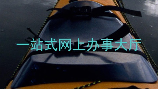 一站式网上办事大厅