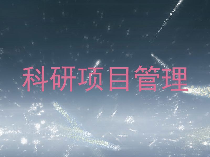 科研项目管理