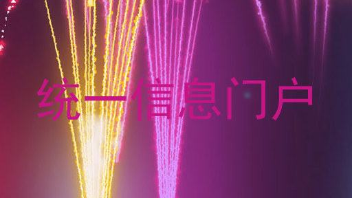 统一信息门户