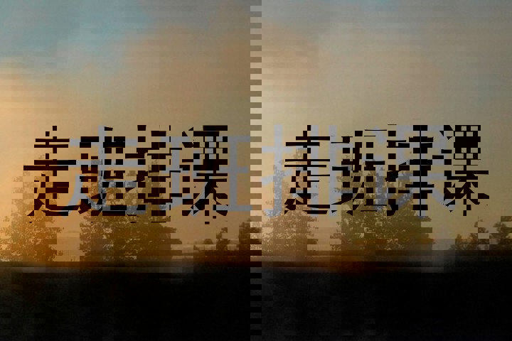 走班排课