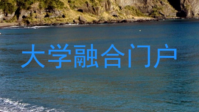 大学融合门户