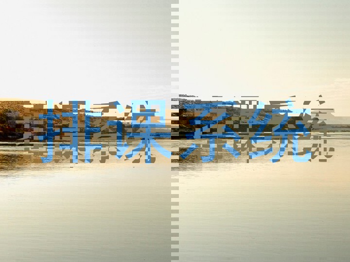 排课系统