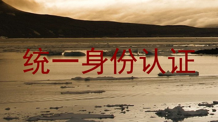 统一身份认证
