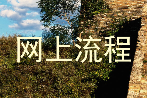 网上流程