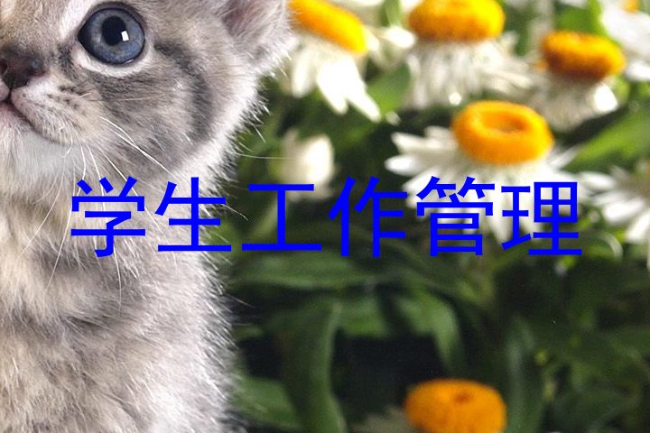 学生工作管理