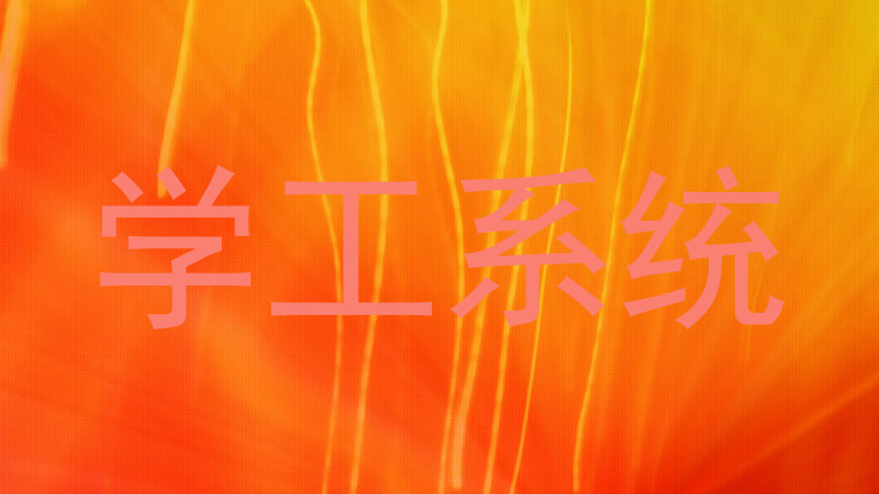 学工系统