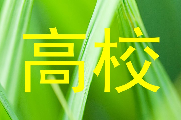 高校