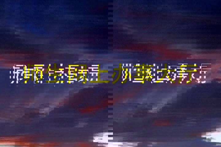 师生网上办事大厅