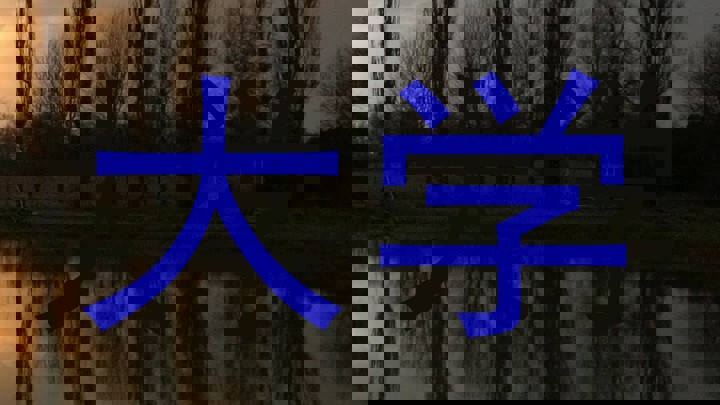 大学
