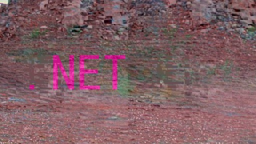 .NET