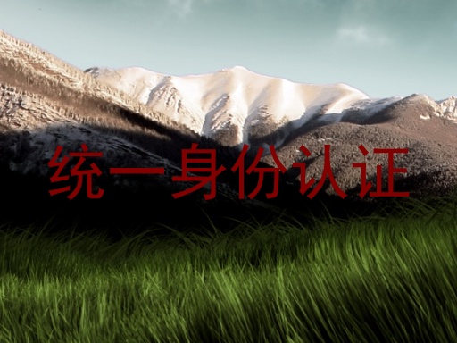 统一身份认证
