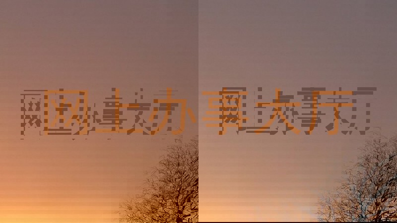 网上办事大厅