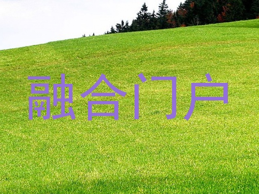 融合门户