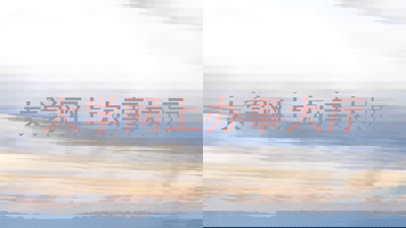 大学网上办事大厅