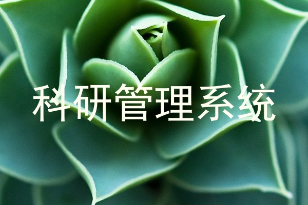 科研管理系统