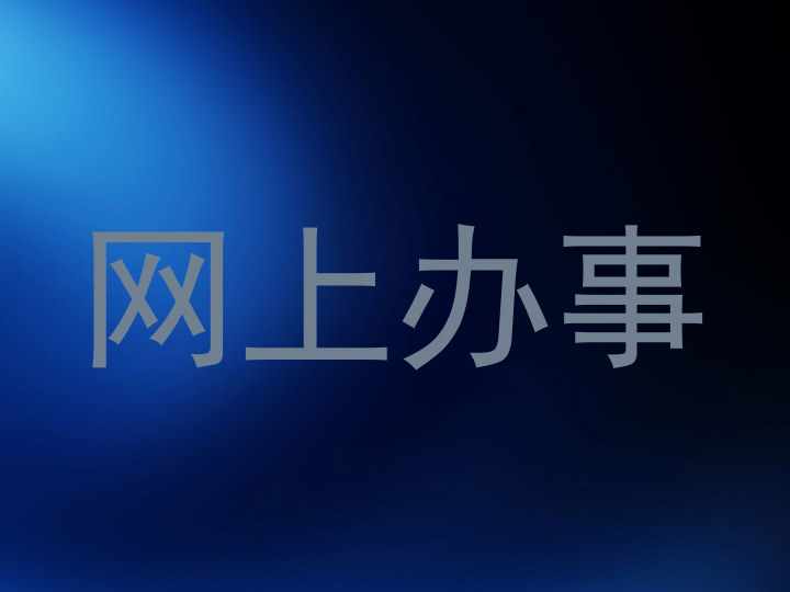 网上办事