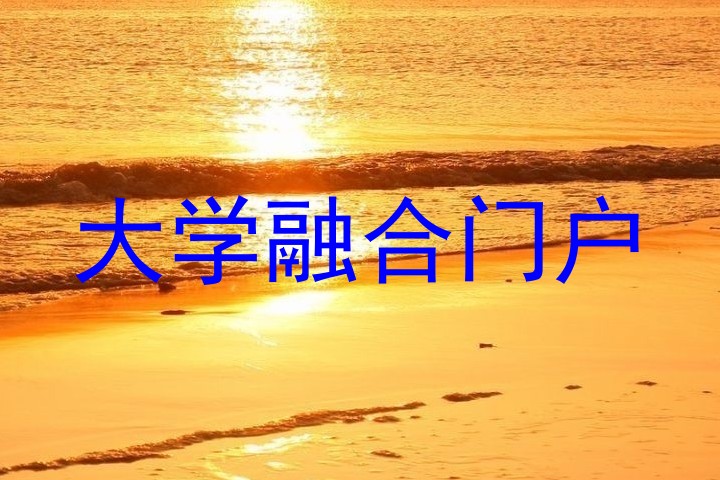 大学融合门户