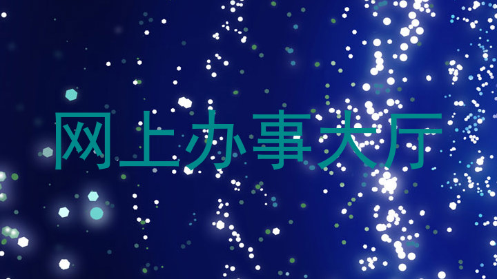网上办事大厅