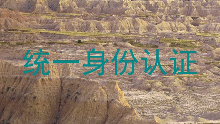 统一身份认证