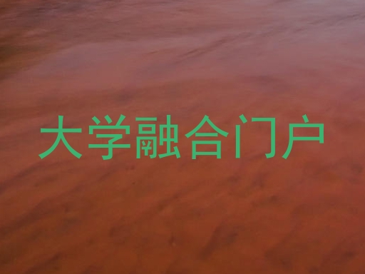 大学融合门户