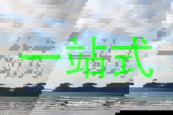 一站式