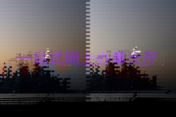 一站式网上办事大厅