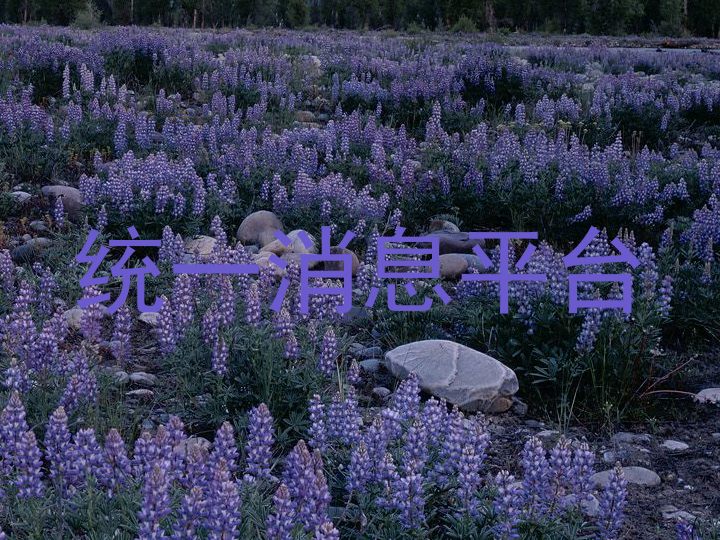 统一消息平台