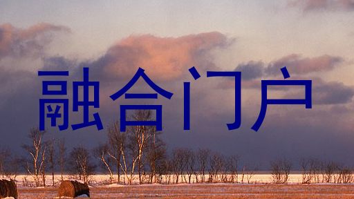 融合门户