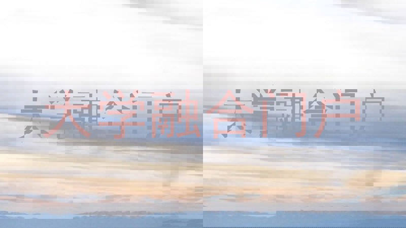 大学融合门户