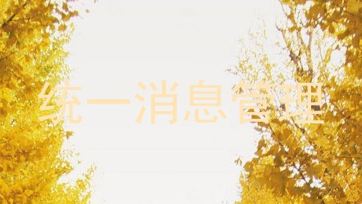统一消息管理