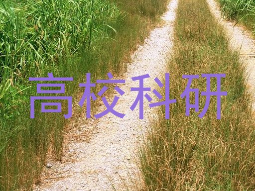 高校科研