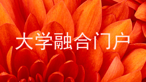 大学融合门户