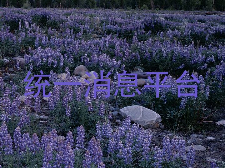 统一消息平台