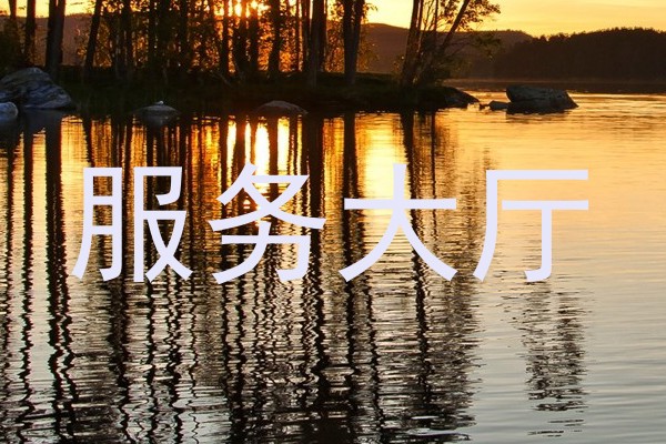 服务大厅
