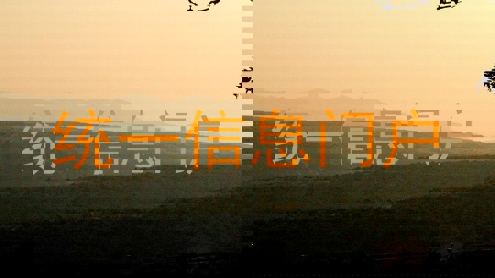 统一信息门户