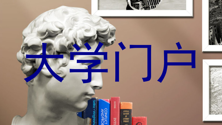 大学门户