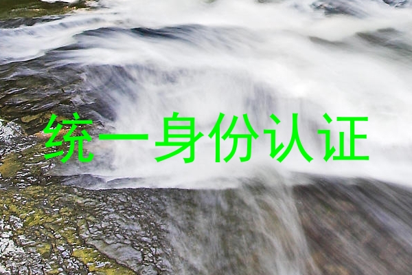 统一身份认证