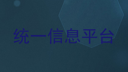 统一信息平台