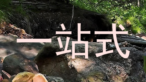 一站式