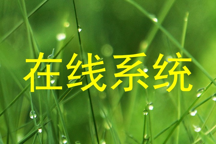 在线系统