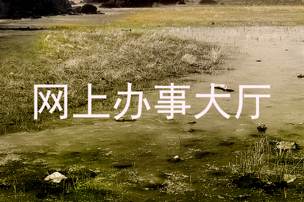 网上办事大厅