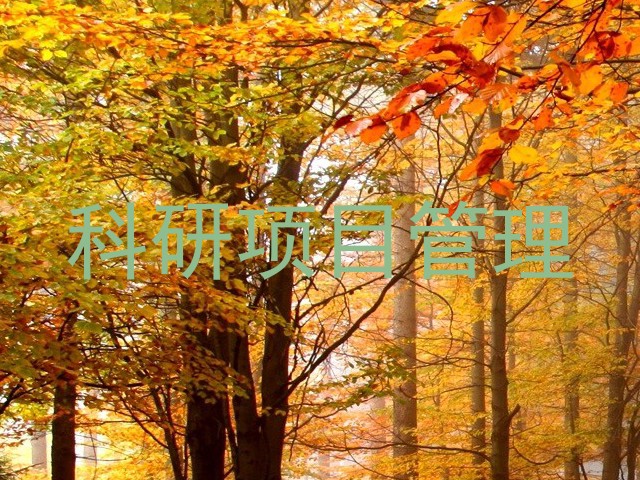 科研项目管理