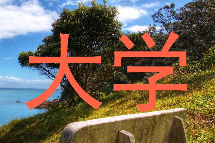 大学