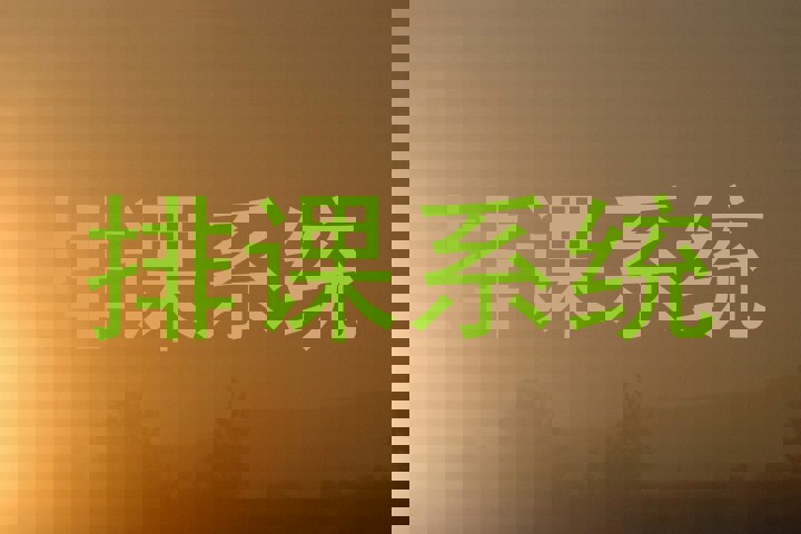 排课系统