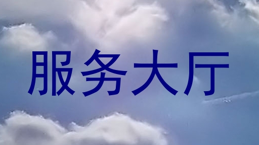 服务大厅