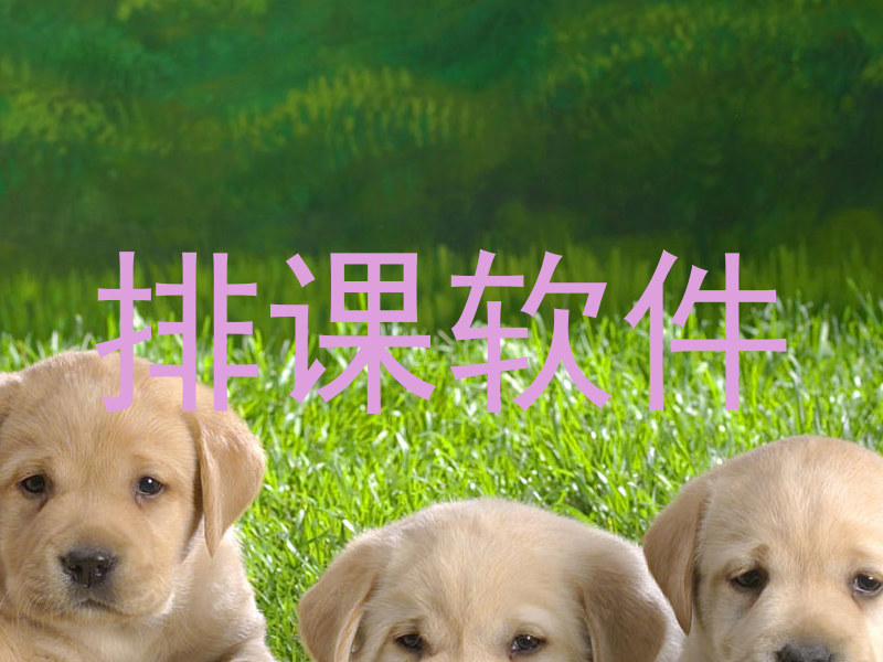 排课软件