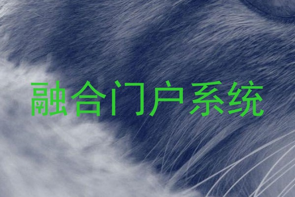 融合门户系统