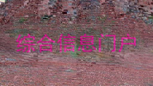 综合信息门户