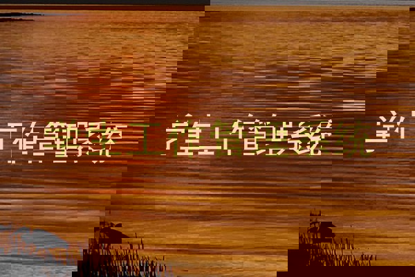 学生工作管理系统