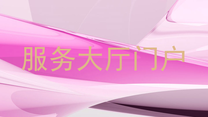 服务大厅门户